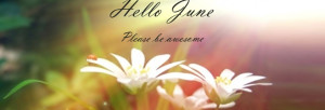Hello summer and hello june wallpapers & sayings