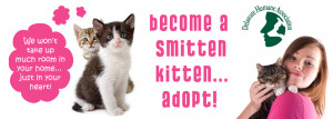 Stop by and get smitten with a kitten or two at their special all ...