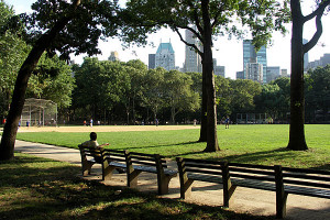 Central Park Field Dreams