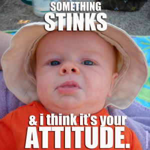 SomethingStinks Attitude