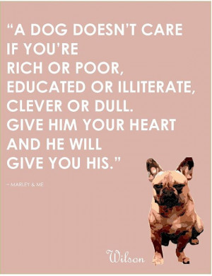 ... Philosophical Dog quotes A4 print, ready to frame on Etsy, £17.00