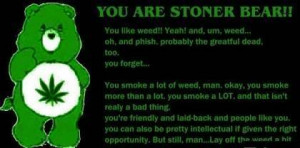 stoner bear Image