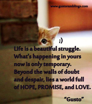 Life is a beautiful struggle..
