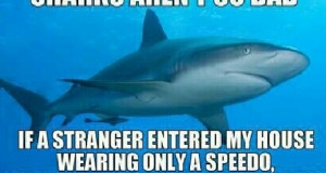 Sharks aren't so bad! #quotes #memes