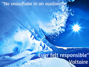 No snowflake in an avalanche ever feels responsible.