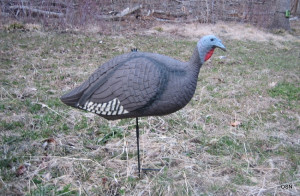 Home Hunting Decoys Turkey Jake