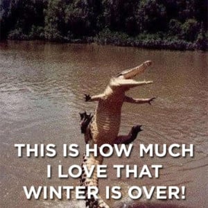 This Is How Much I Love That Winter Is Over ” ~ Spring Quote
