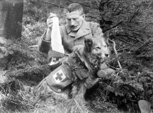 Bandages retrieved from the kit of a British Dog, ca. 1915. (Library ...