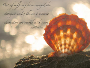 Seashell Quotes http://weheartit.com/entry/10382930