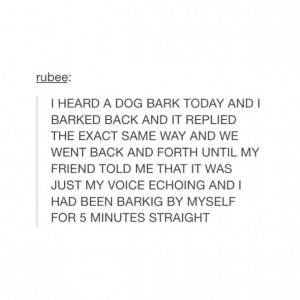 barking, dog, fun, funny, haha, i cant, laughing, lmao, lol, quote ...