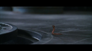 Posted by datlin at 1:17 PM