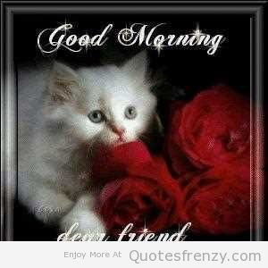 Life Inspiration Quotes Good Morning Dear Friend