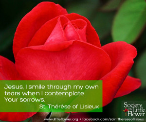 smile through my own tears when I contemplate Your sorrows. – St ...