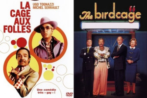 The Birdcage Movie 'the birdcage'