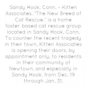 Kittens for Kids for Sandy Hook residents to pet and play with!