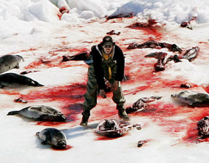 the list of cruelties to animals is phenomenal killing animals for ...