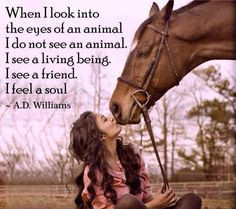 When I look into the eyes of an animal More