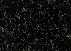 Black Labrador Angola Black Preto Angola