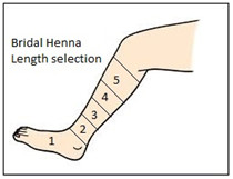 Mehendi Party/ Sangeet Party/ Wedding Guests/Party Henna: