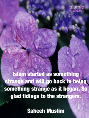Glad tidings to the strangers