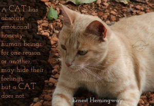 Cats Quote: A cat has absolute emotional honesty: human... Cat- (4)