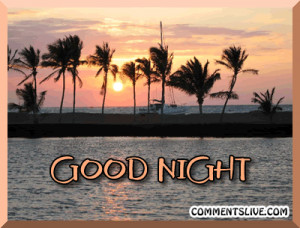 Good Night Good Night Sunset quote