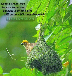 Keep a green tree