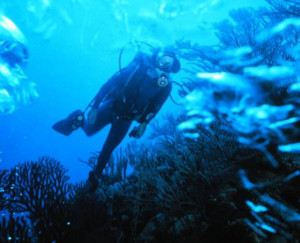Long Island Scuba Diving