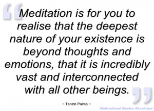 meditation is for you to realise that the tenzin palmo