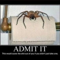 Admit it!