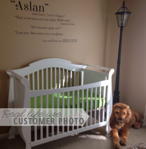 Customer Lifestyle Features: Custom Aslan Quote