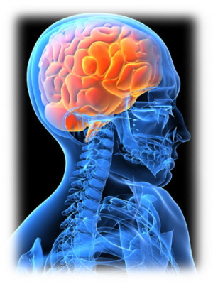 Neurology Clinic evaluates patients with a wide variety of neurologic ...