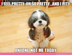 FEEL PRETTY, OH SO PRETTY...AND I PITY, ANYONE NOT ME TODAY