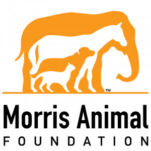 Compassion For Animals Foundation Grants
