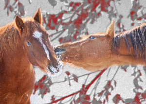 Horse Valentines Day. Valentines Images Horses. View Original ...