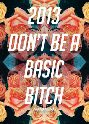 2013 don't be a basic bitch