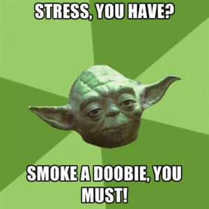 stress-you-have-smoke-a-doobie-you-must.jpg