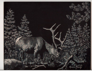 Black And White Elk Pictures