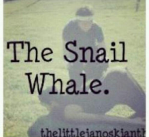 Janoskians Quotes Janoskians quotes