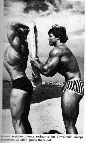 Free Download Arnold Schwarzenegger Bodybuilding Workout Routine HD ...