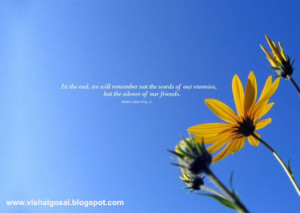 Posted by vishal at 1:17 PM