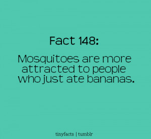 Mosquitoes are attracted to people who just ate bananas.| Fact Quote