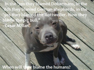 When will they blame the humans?