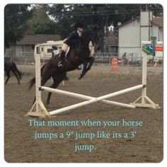jumping horse more horseback riding hors boards hors girls emma horses ...