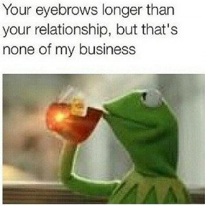 The Best of ‘Kermit Sipping Tea,’ Black Twitter’s Funniest New ...