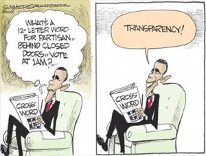 Transparency or Transparent Lies