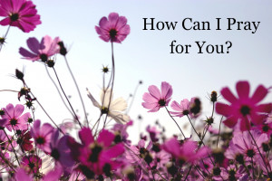 How Can I Pray for You?