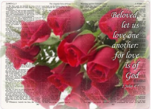 Red roses and a open bible. - beautiful, red roses, bible verse ...