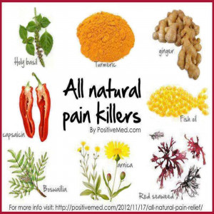 Home » Search results for 