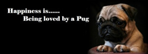 ... Pug Facebook Cover Photo For Your Timeline. Pug Quotes: Happiness is